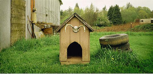 像素武侠两大门派6月19日会盟，大侠立志传 × 逸剑风云决官宣联动